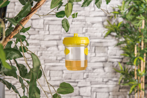 6 pièges à guêpes à poser ou suspendre