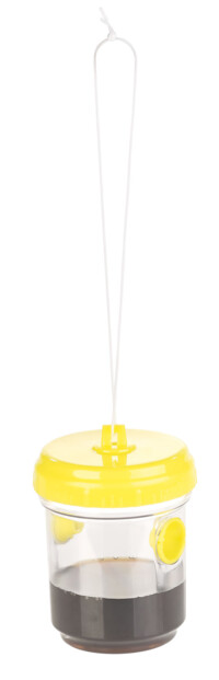 6 pièges à guêpes à poser ou suspendre