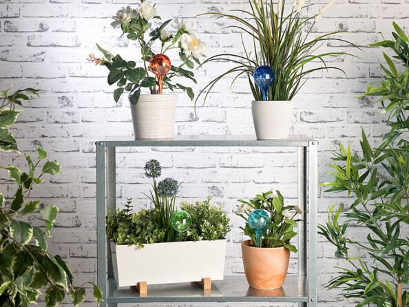 8 doseurs d’irrigation en verre coloré - Ø 6 cm