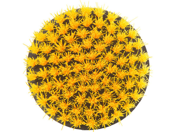 Vue du dessous de la brosse ovale avec poils en plastique jaunes