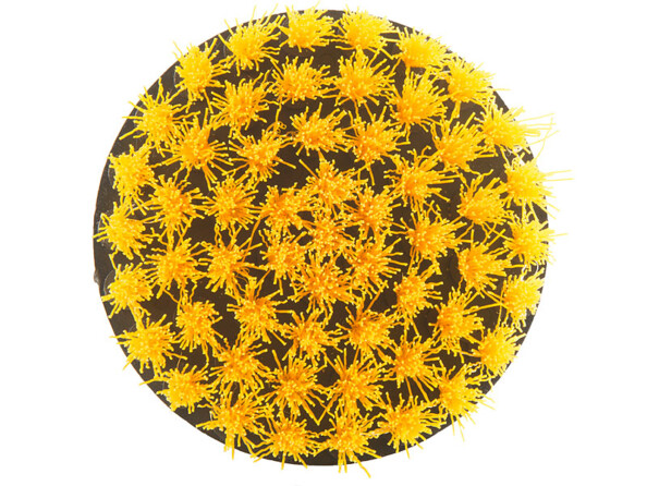 Dessous de l'embout brosse rond avec picots souples