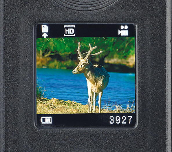 Caméra nature HD sans fil à vision infrarouge et capteur PIR "IRC-80"