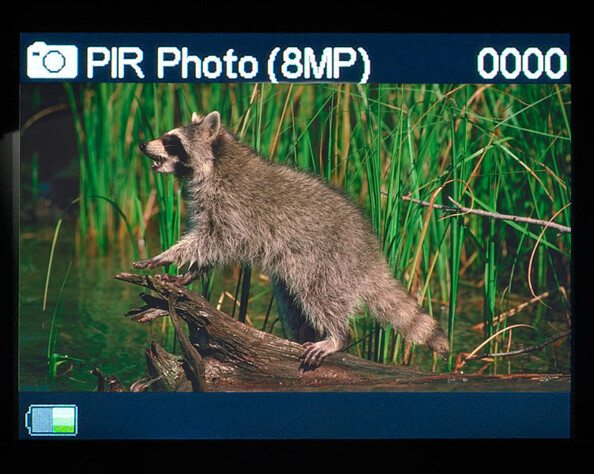 Caméra nature Full HD GSM WK-600.gsm avec détection de mouvement