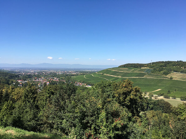 Lentilles grand-angle, fish-eye et macro pour smartphone et tablette