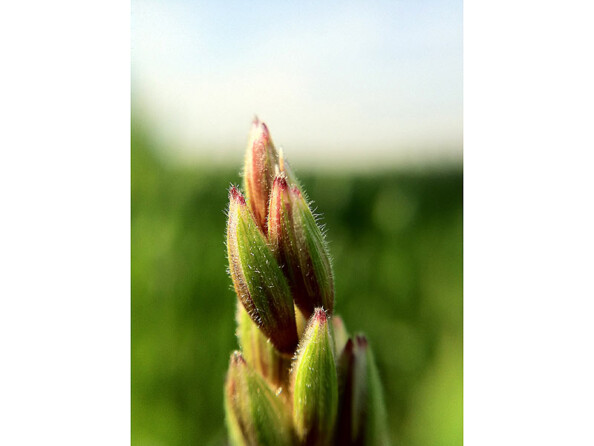 Objectif macro et grand angle magnétique pour smartphone