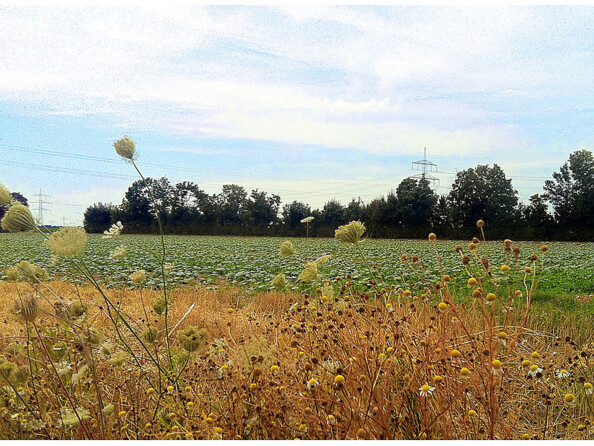 Objectif macro et grand angle magnétique pour smartphone