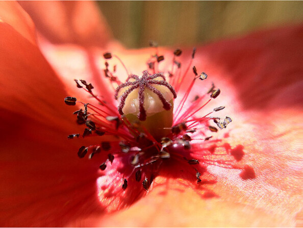 Objectif macro et grand angle magnétique pour smartphone