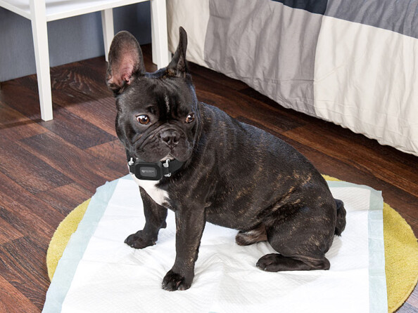 Support de fixation pour traceur GPS LTS-X00