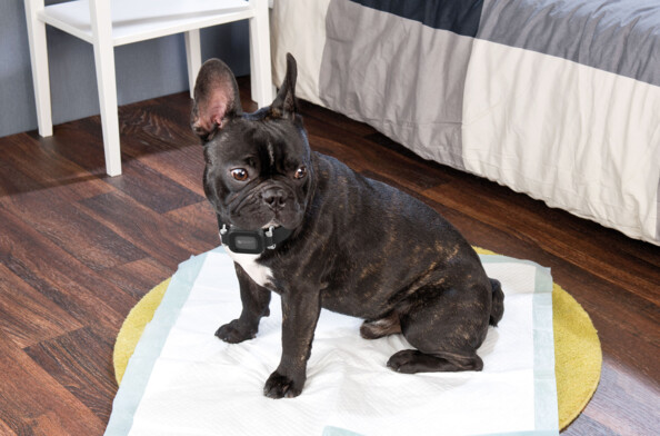 Support de fixation pour traceur GPS LTS-X00