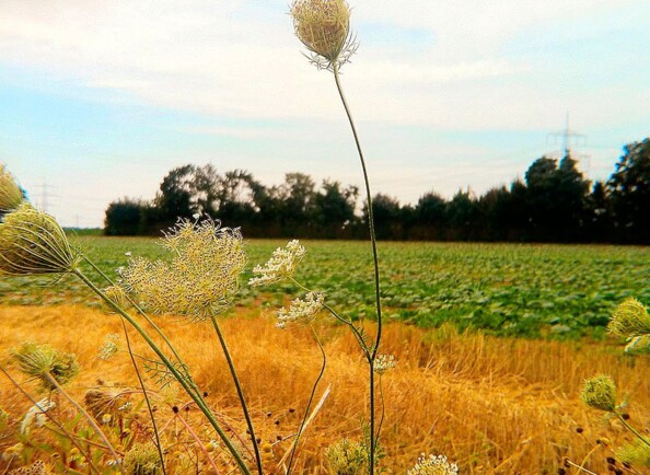 Téléobjectif magnétique pour smartphone