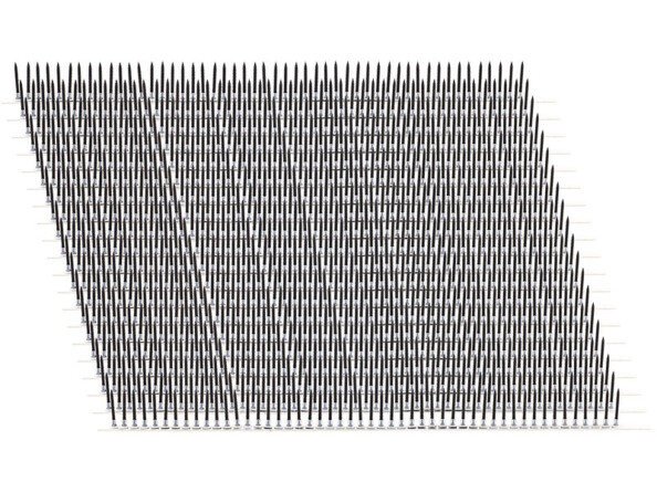 vue sur les 250 vis à bois
