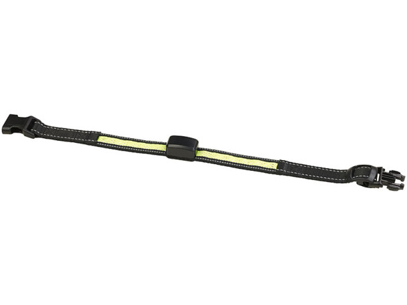Collier LED à chargement cinétique - Grands chiens