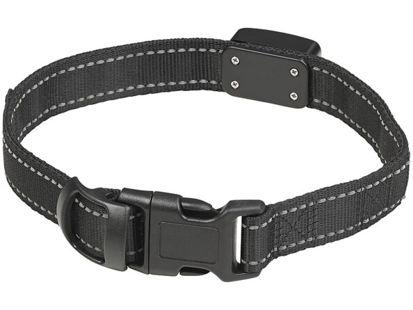 Collier LED à chargement cinétique - Grands chiens