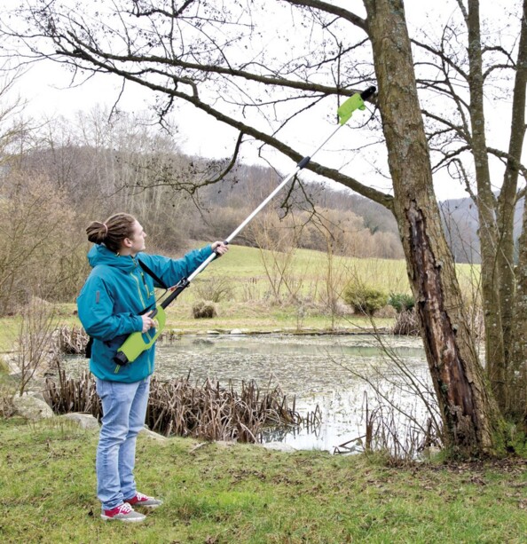 Élagueuse sans fil ''AW-36.ea''
