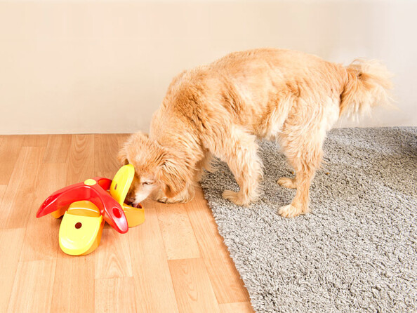 Jeu parfait contre l'ennui et stimule l'attention