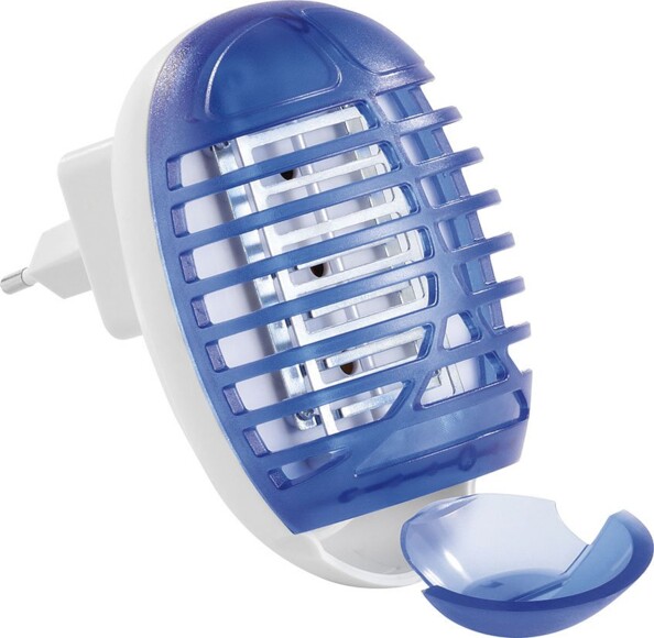 Piège à insectes vue sur la trappe