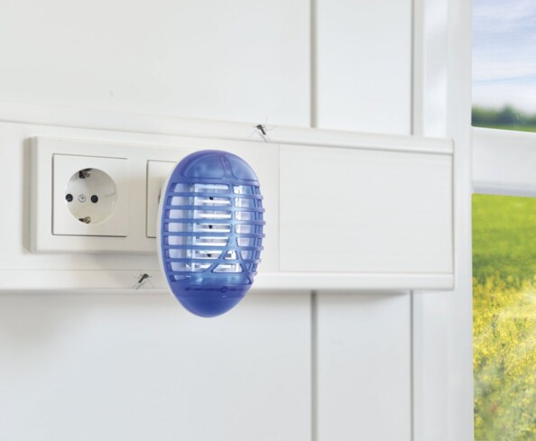 Piège à insectes sans aucun produit chimique