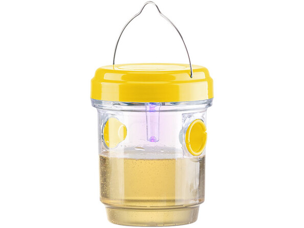 Piège à insectes naturel rempli de sirop.