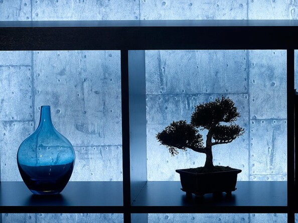 Bande à LED 5 mètres - Blanc