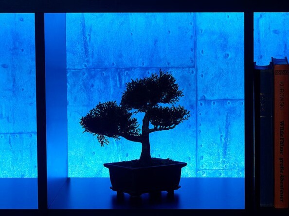 Bande à LED 5 mètres - Bleu