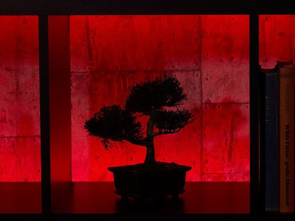 Bande à LED 5 mètres - Rouge