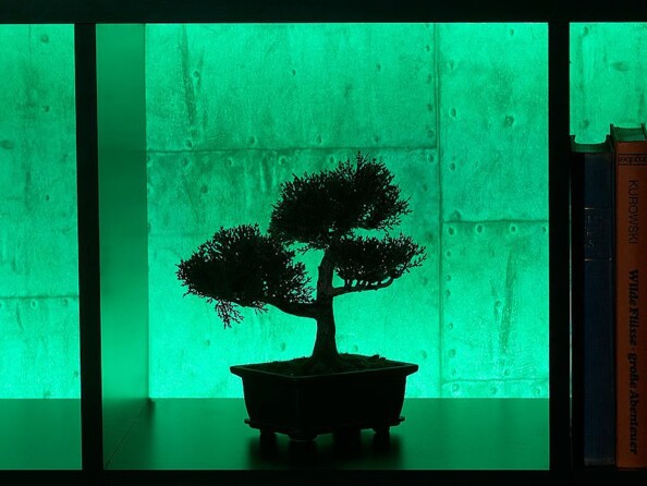 Bande à LED 5 mètres - Vert