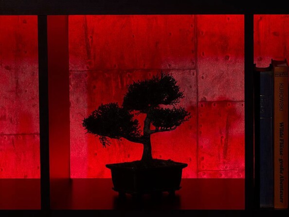 Bande à LED pour extérieur, 5 m, avec prise secteur - Rouge