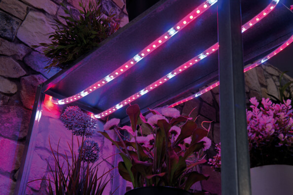 bande lumineuse led de culture pour culture plantes en intérieur hydroponie