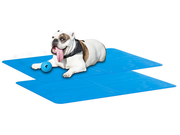 2 tapis rafraîchissants pour chiens et chats 90 x 50 cm