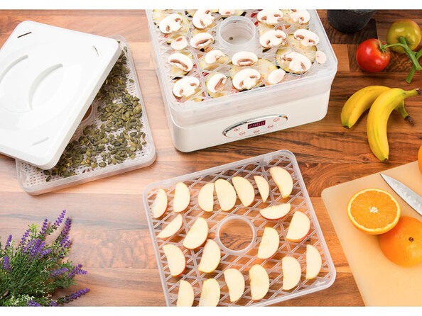 Déshydrateur 250 W avec 5 plateaux et minuteur 24 h DH-100