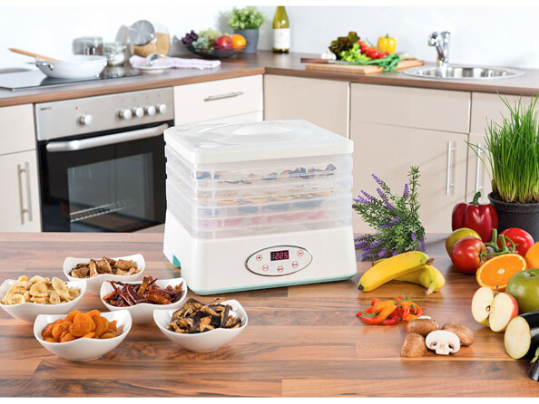 Déshydrateur 250 W avec 5 plateaux et minuteur 24 h DH-100
