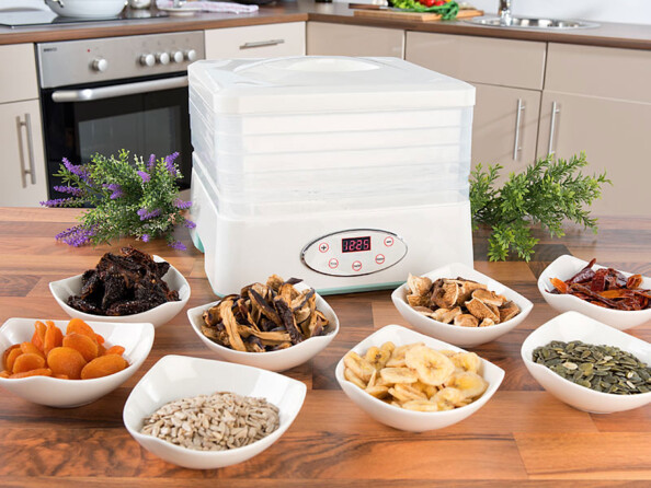 Déshydrateur 250 W avec 5 plateaux et minuteur 24 h DH-100