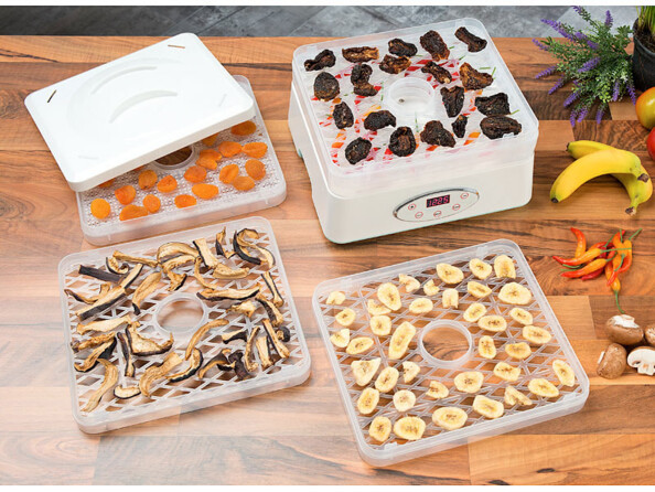 Déshydrateur 250 W avec 5 plateaux et minuteur 24 h DH-100