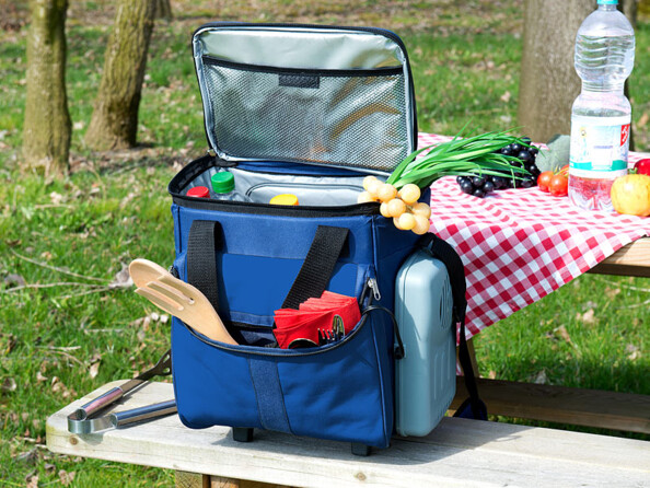 Glacière trolley thermoélectrique 23 L / 12 V avec trolley