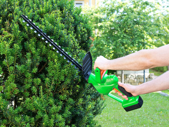 taille haies electrique sans fil avec batterie et lame 46 cm agt