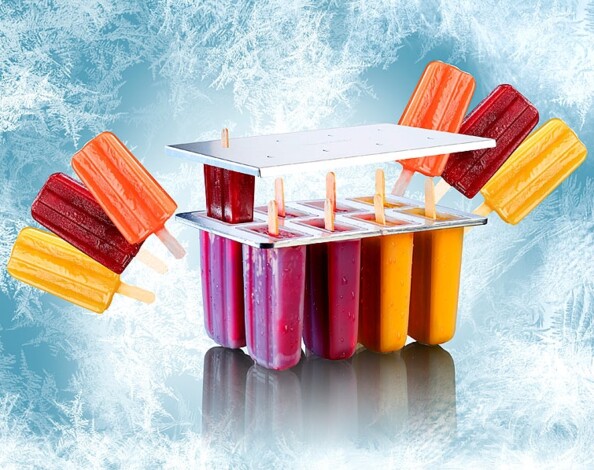 Moules à popsicles avec couvercles et bâtonnets en bois