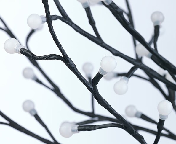 Arbre lumineux vue sur les bourgeons