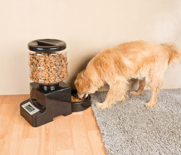distributeur de croquettes pour chiens et chats avec horodateur distribution automatique pendant absence
