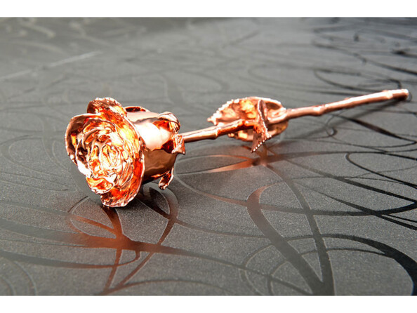 Rose véritable avec 2 feuilles