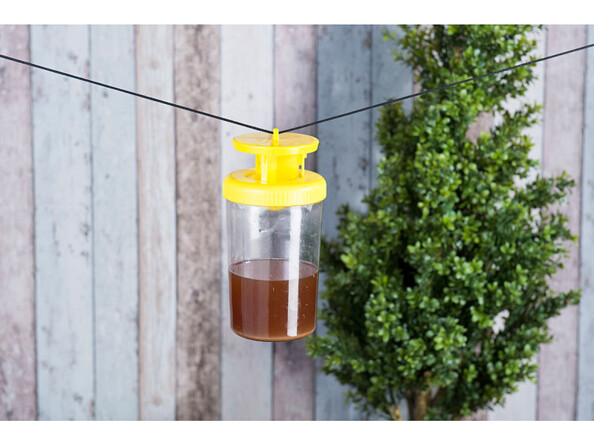 piege a insectes reutilisable avec pheromones sans risque pour animaux