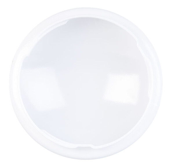 Plafonnier / applique murale à LED - Ø 26 cm - Blanc du Jour