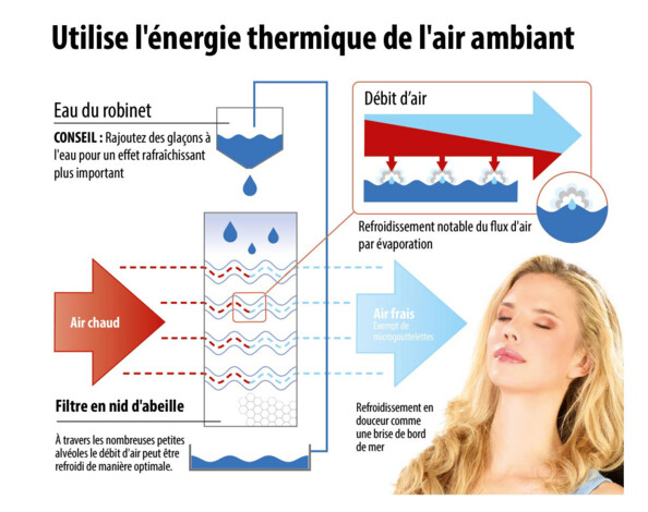 Rafraîchisseur d'air 150 W LW-530 (reconditionné)