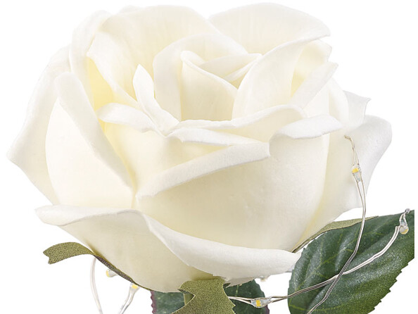 Rose artificielle avec cloche en verre et lumière LED - Blanche