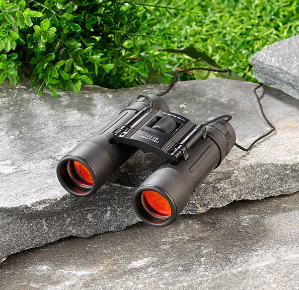 Jumelles 10 X 25