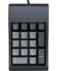 Pave Numerique