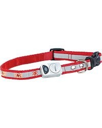 Colliers Lumineux Pour Petit Animal