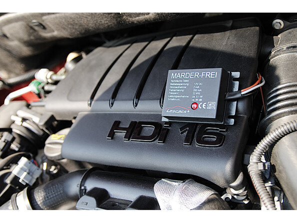 Repousse-martres mis en siotuation sous le capot d'une voiture