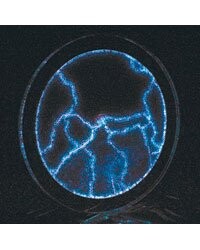 Disque Plasma