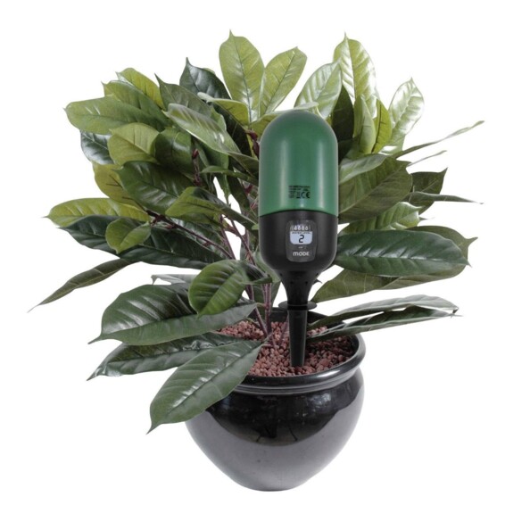Plante en pot avec arroseur automatique AA02.