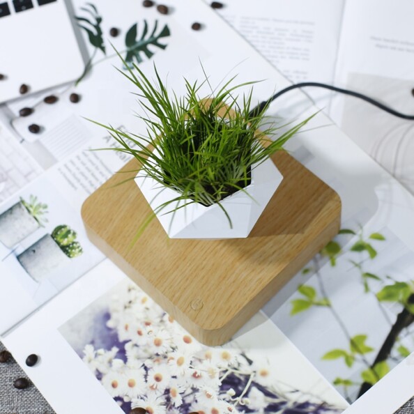 Mini-jardin en lévitation Babylonia